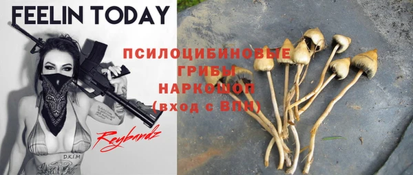 прущие крисы Алзамай