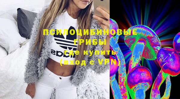 ешки Абинск