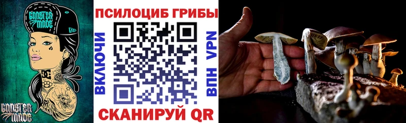 Галлюциногенные грибы мицелий  блэк спрут онион  Чишмы 